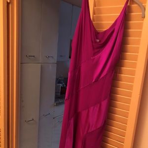 Diane Von Furstenberg Hot Pink silk beaded dress